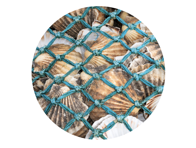 This is the image alt text